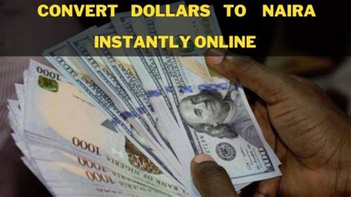 Convert 10000 Naira To US Dollars Instantly: Exchange Rates And Calculations