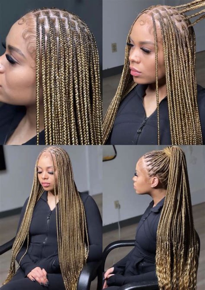 Transform Your Hair: Stunning 2-Color Knotless Braids For Modern Style