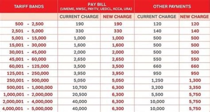 Explore Airtel's Withdrawal Charges For 2024