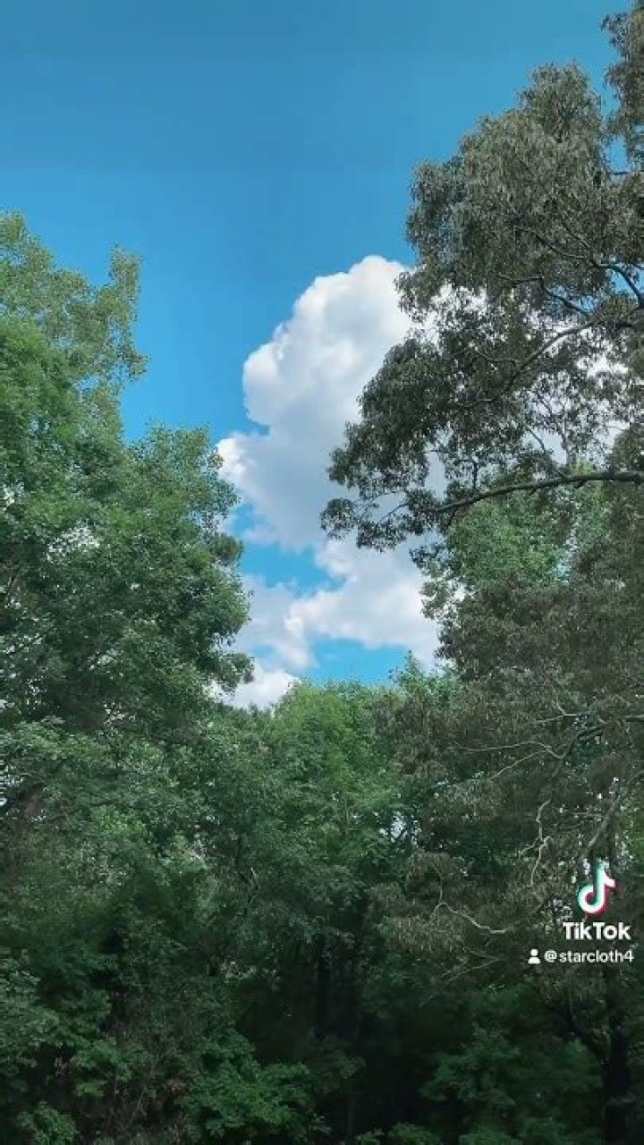 Discover The Enchanting World Of Aubereigh