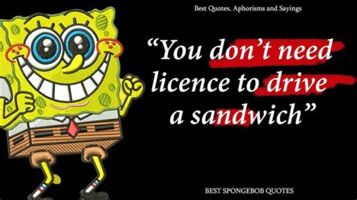 The Ultimate Collection Of SpongeBob's Memorable Quotes
