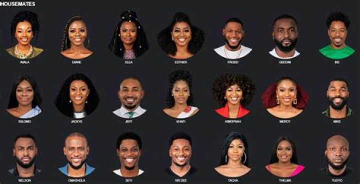 Newest Big Brother Naija Housemates Unveiled: Get To Know Them!