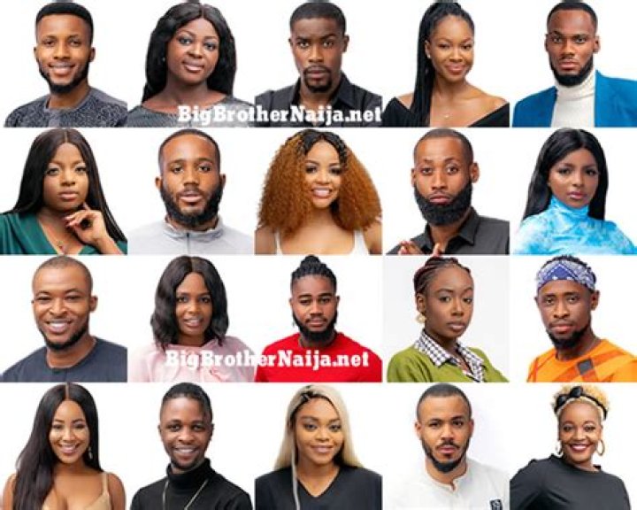 Discover The Intriguing Housemates Of Big Brother Nigeria