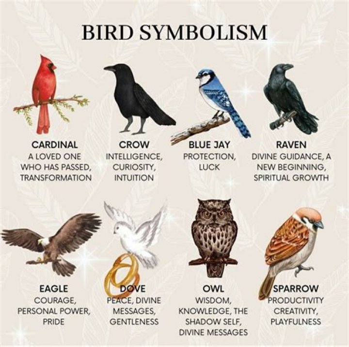 The Ultimate Guide To Bird Symbolism: Unlocking The Hidden Meanings Of Avian Emblems