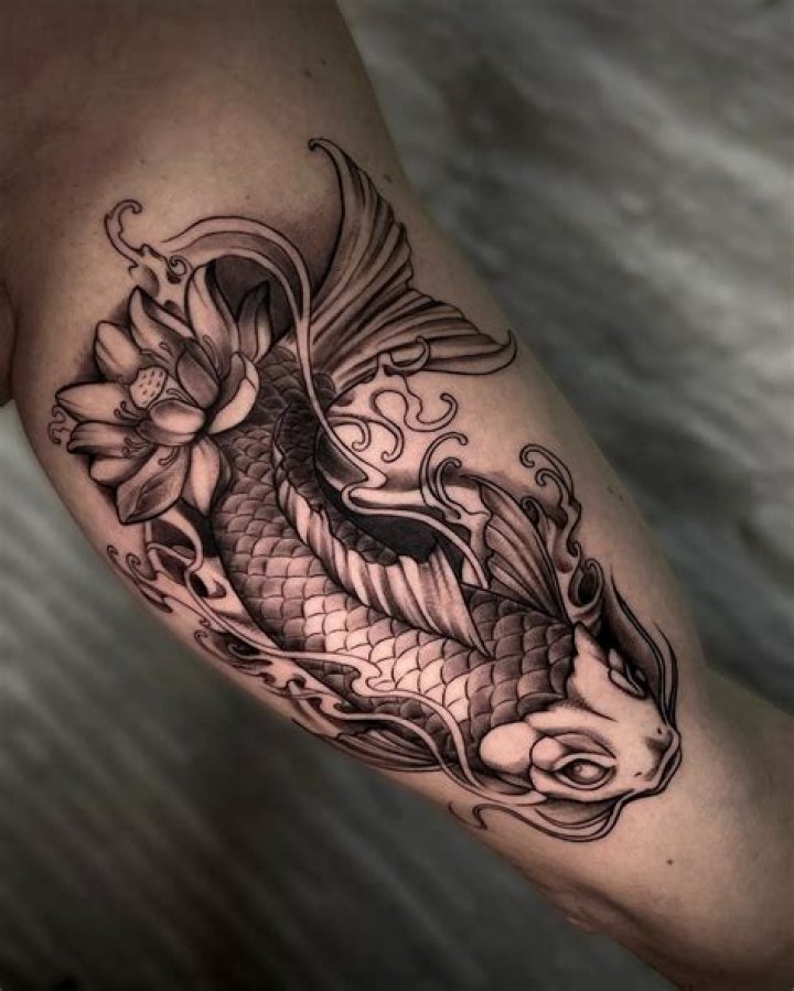 Unveiling The Enchanting Beauty Of Black And Grey Koi Fish