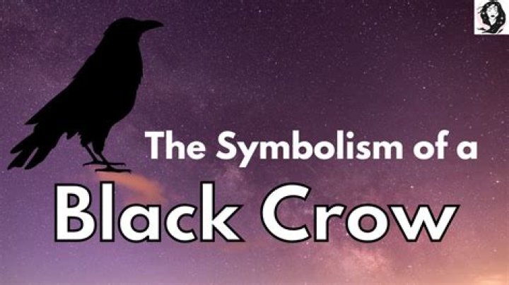 The Enigmatic Black Crow: Unveiling Its Hidden Symbolism