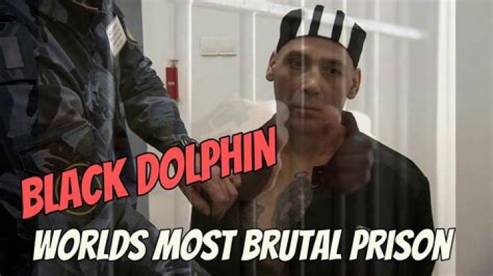 The Notorious Incarcerates: Exposing The Darkest Depths Of Black Dolphin Prison