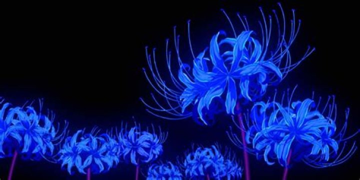 Unlock The Secrets Of The Blue Spider Lily In Demon Slayer