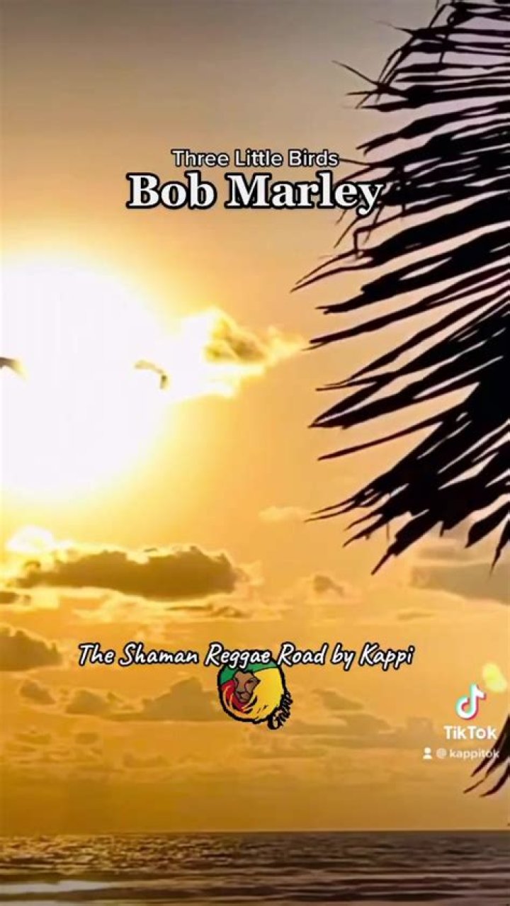 Uncover Bob Marley's Son's Music On TikTok
