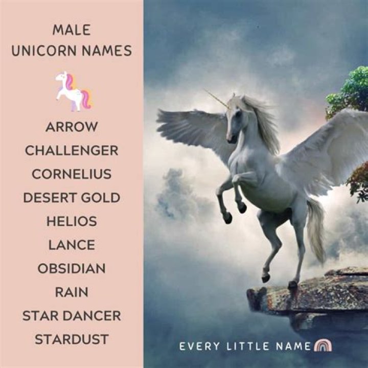 Best Boy Unicorn Names: A Unique Twist On Popular Picks