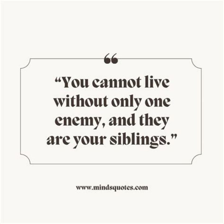 Intriguing Bro-Sis Quarrel Sayings: Exploring The Dynamics Of Sibling Rivalry
