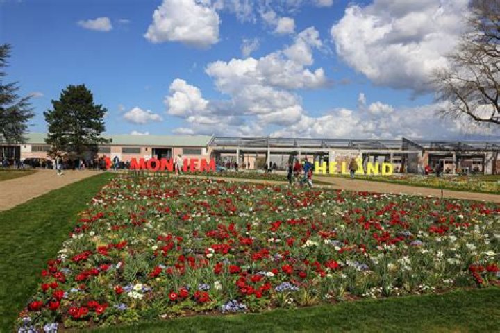 Prepare For The Unforgettable: The Ultimate Guide To Buga 2024