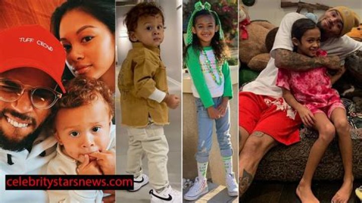 Chris Brown's Kids: Names And Details