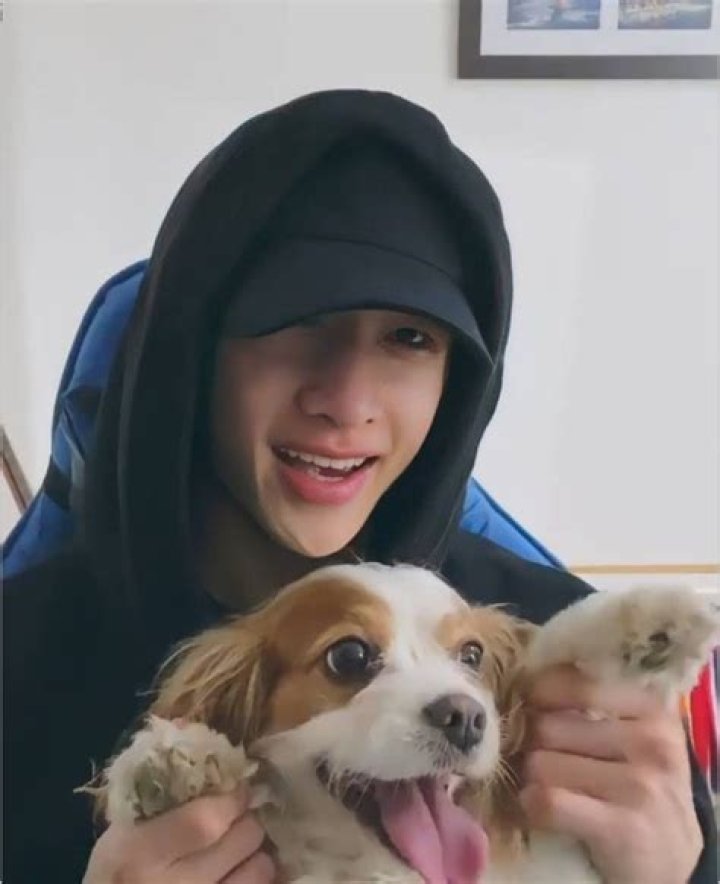 The Ultimate Guide To Chris Chan's Controversial Dog