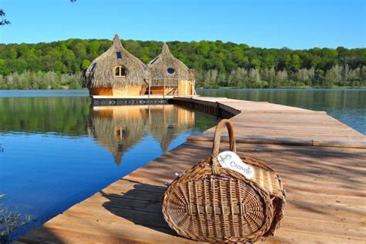 The Ultimate Guide To Cuckoos: Discover Their Unique Behaviors