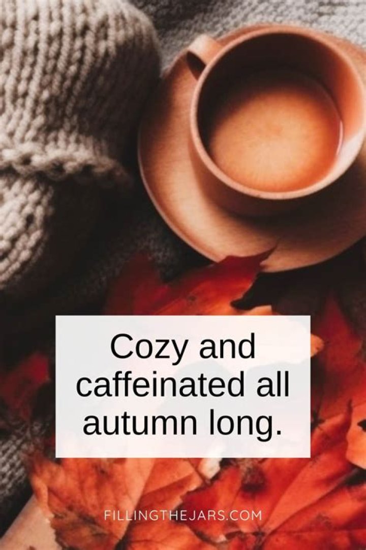 Fall Into Comfort: Cozy Quotes To Warm Your Autumn Days