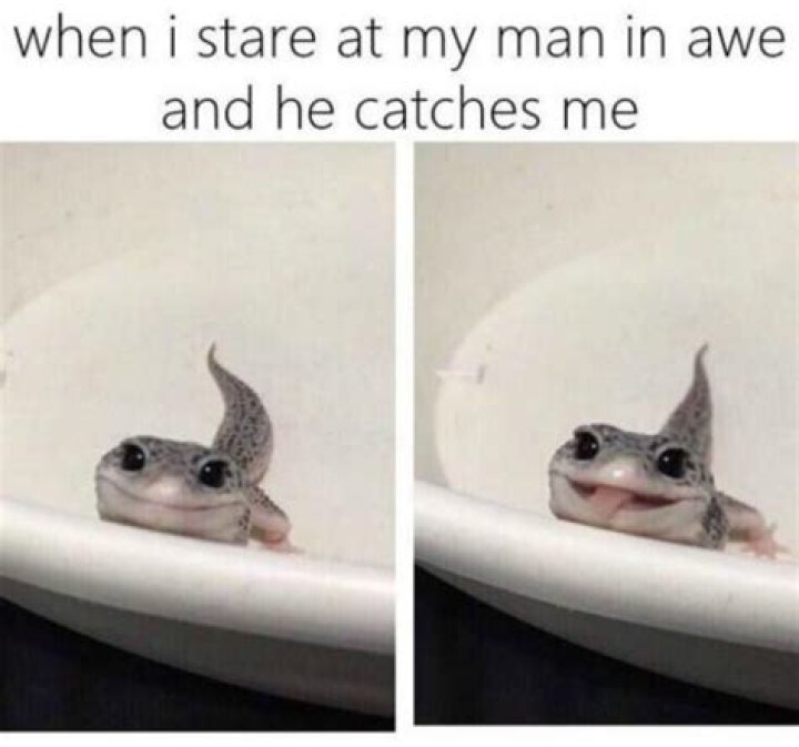 The Most Adorable Love Memes To Make Him Smile
