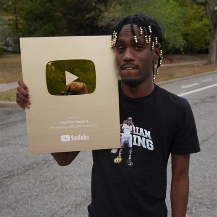 Daydream Harding: The Immersive Experience And Its Transformative Power