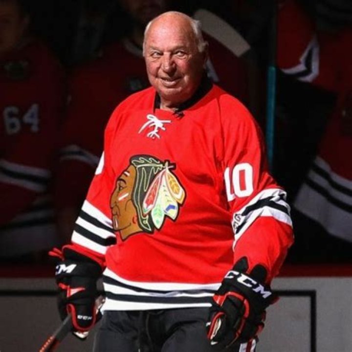 Unveiling The Legacy Of Dennis Hull: A Hockey Legend's Journey