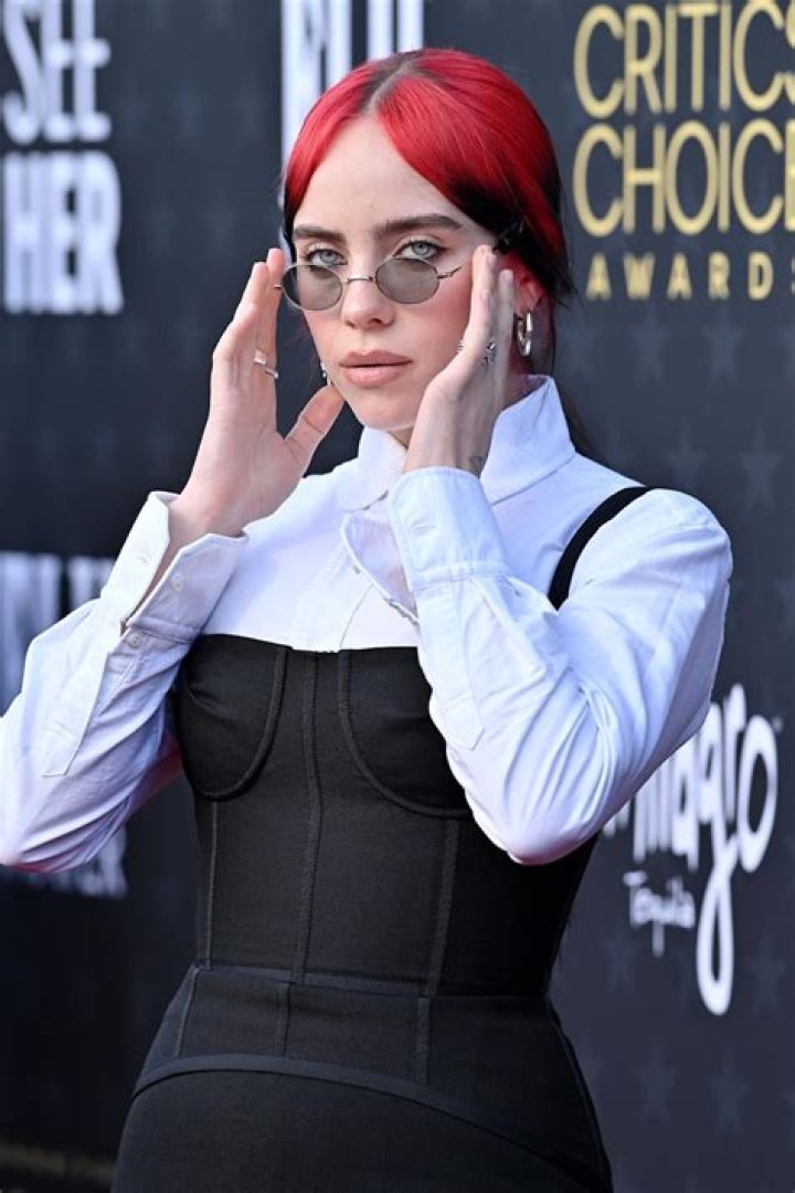 Unveiling The Truth Behind Billie Eilish's Transformation: The Boob Job Saga