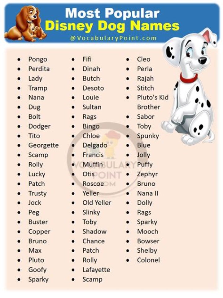 Cool Disney Names For Your Perfect Pup