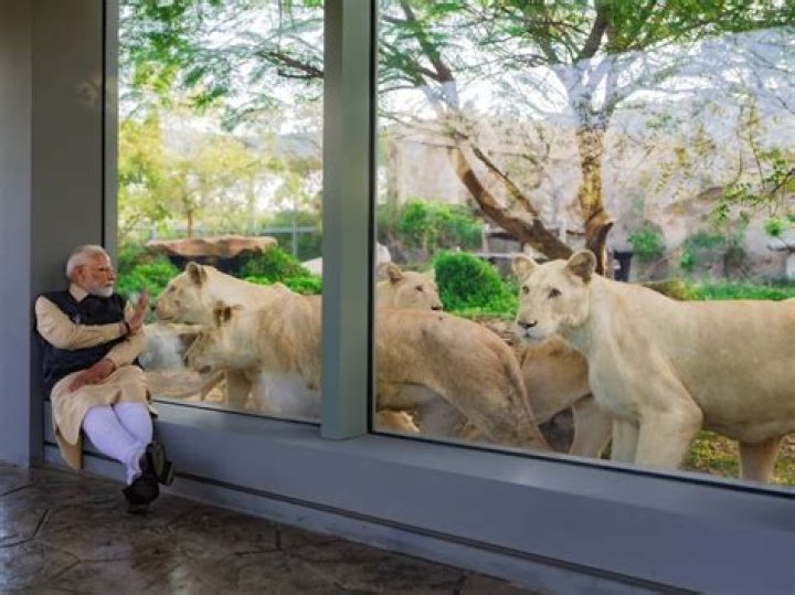 Is Anant Ambani Rumored To Be Battling Cancer? Uncovering The Truth