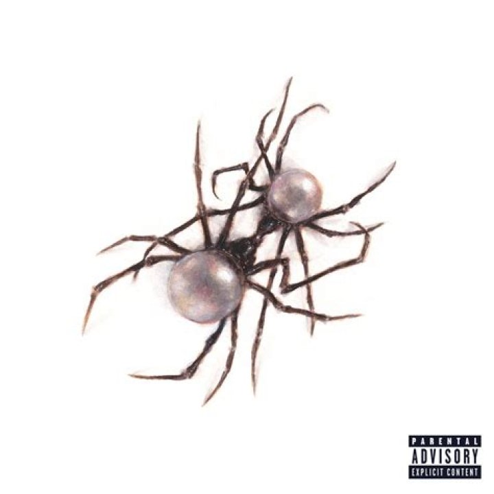 The Etymology Of Doja Cat: Unraveling The Meaning Behind The Feline-Inspired Name