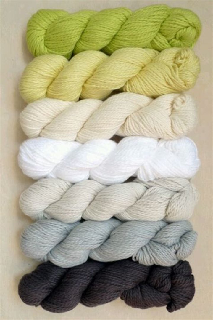 The Ultimate Guide To Your Fave Apps And Features