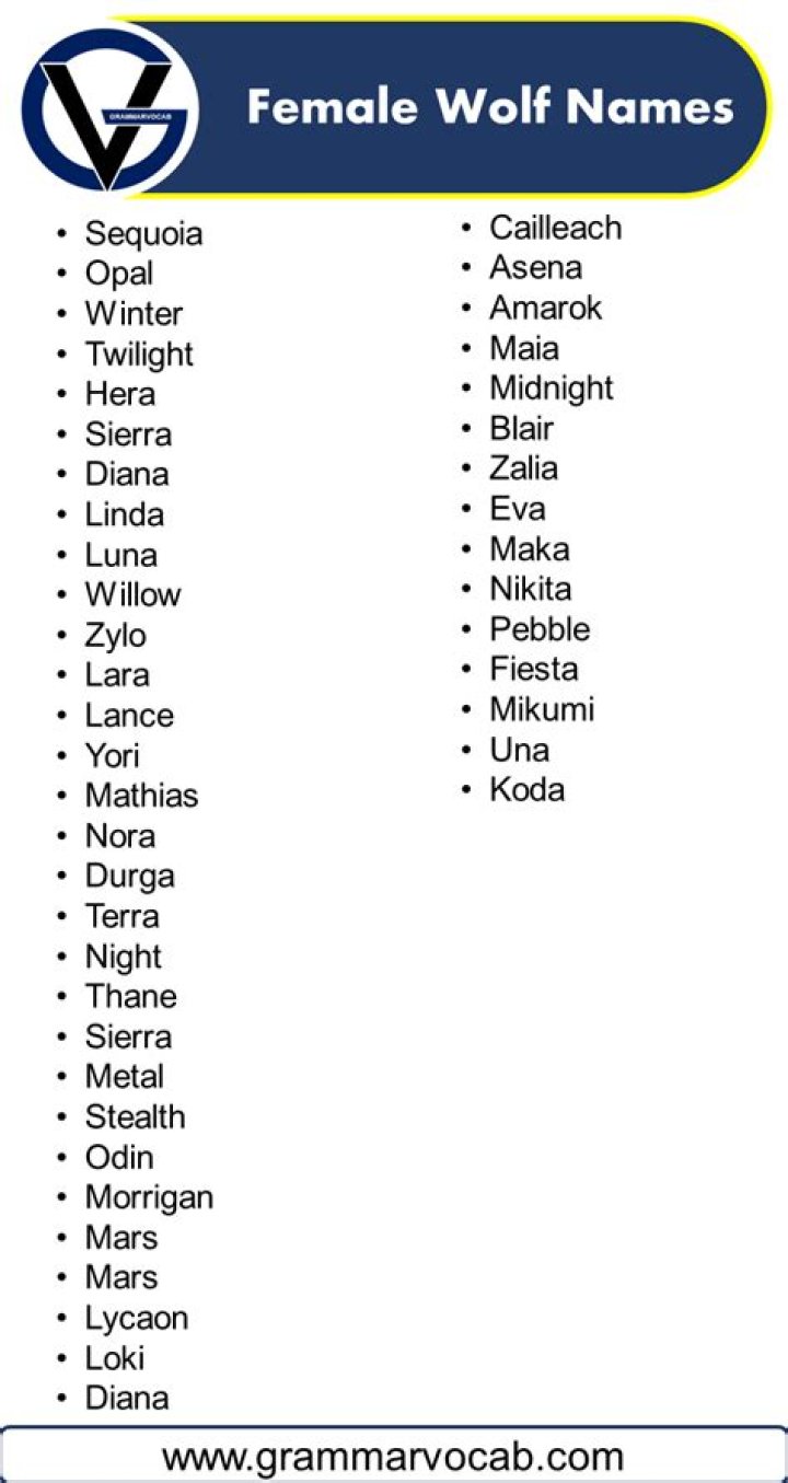Essential Female Wolf Names: The Ultimate Guide