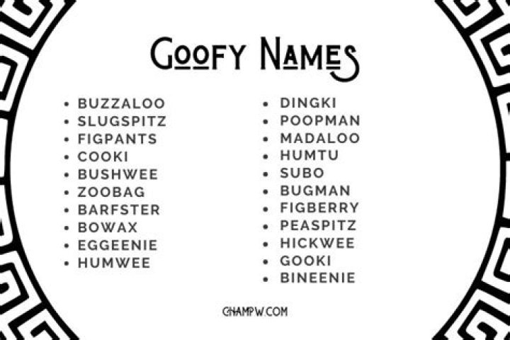 The Ultimate Guide To The Goofiest Names Ever