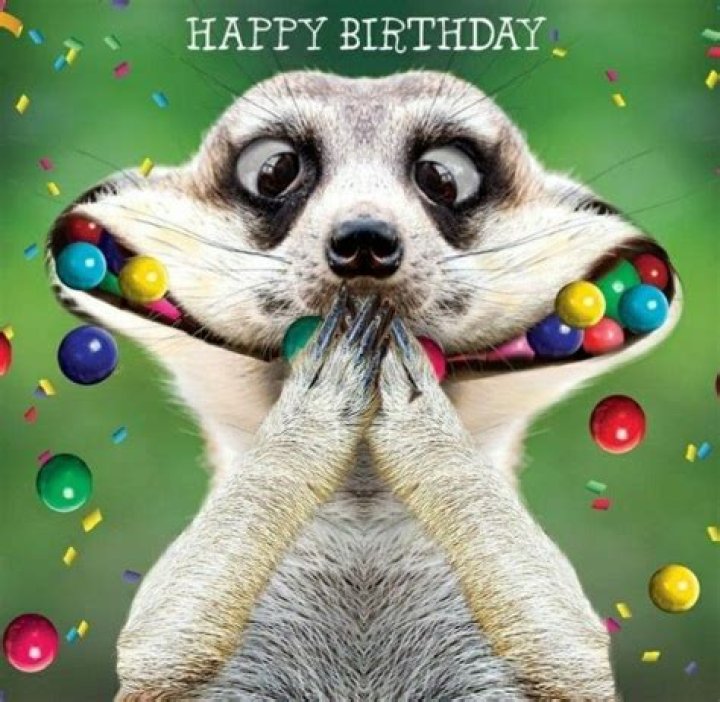 Hilarious Happy Birthday Wishes: Laughs And Giggles Guaranteed!