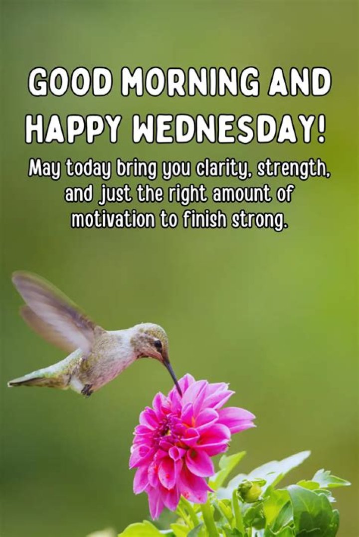 Spectacularly Happy Hump Day: Powering Through Wednesday