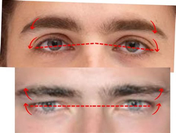 The Essential Guide To Understanding And Enhancing Hinter Eyes