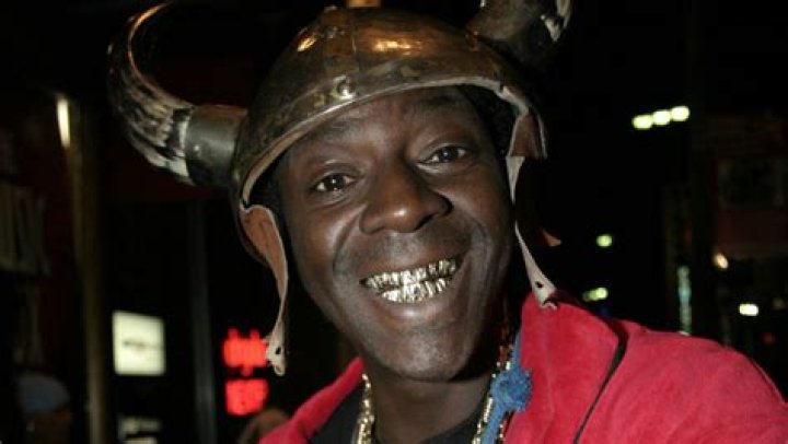 The Ultimate Guide To Flavor Flav's Children