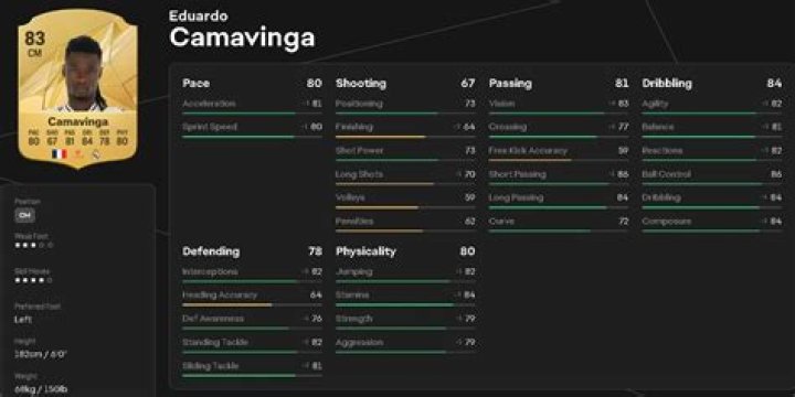 Comprehensive Guide: Unveiling The Age Of Camavinga's Child