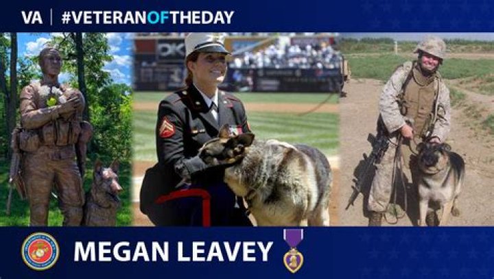 Unveiling The Age Of Megan Leavey: A Detailed Exploration
