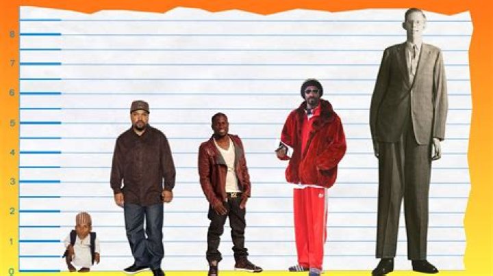 Determining The Accurate Height Of Ice Cube: What You Need To Know