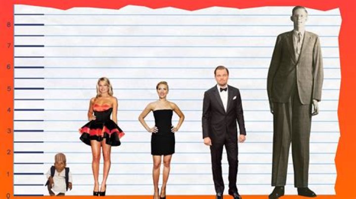 Everything You Need To Know: How Tall Is Margot Robbie?