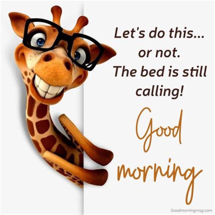 Hilarious Good Morning Pictures | Brighten Your Day