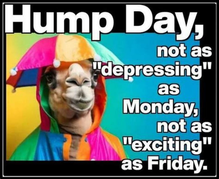 Midweek Madness: Hilarious Hump Day Memes To Brighten Your Day