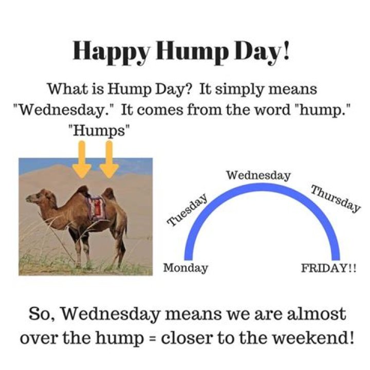 The True Meaning Of Hump Day: Uncovering The Origins And Significance