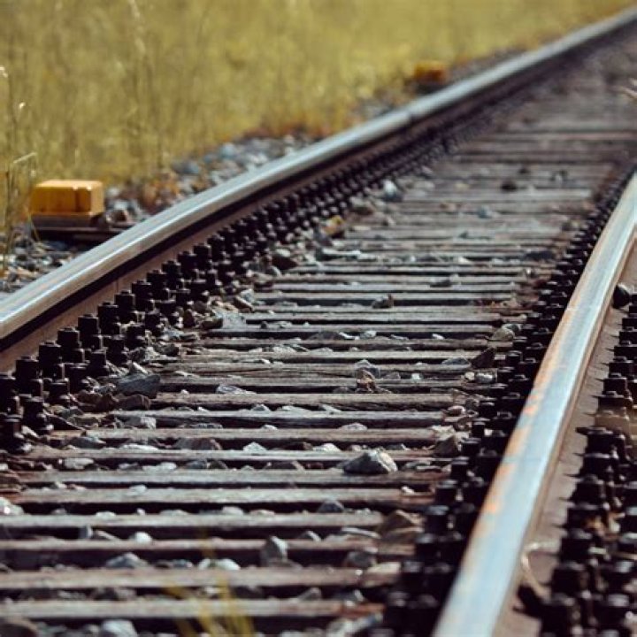 Is Bob Seger Still Alive? The Truth Uncovered