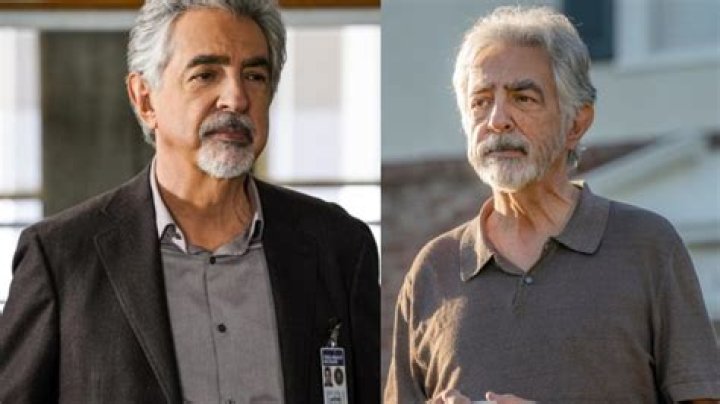 Joe Mantegna's Weight Loss Success: Tips And Transformation