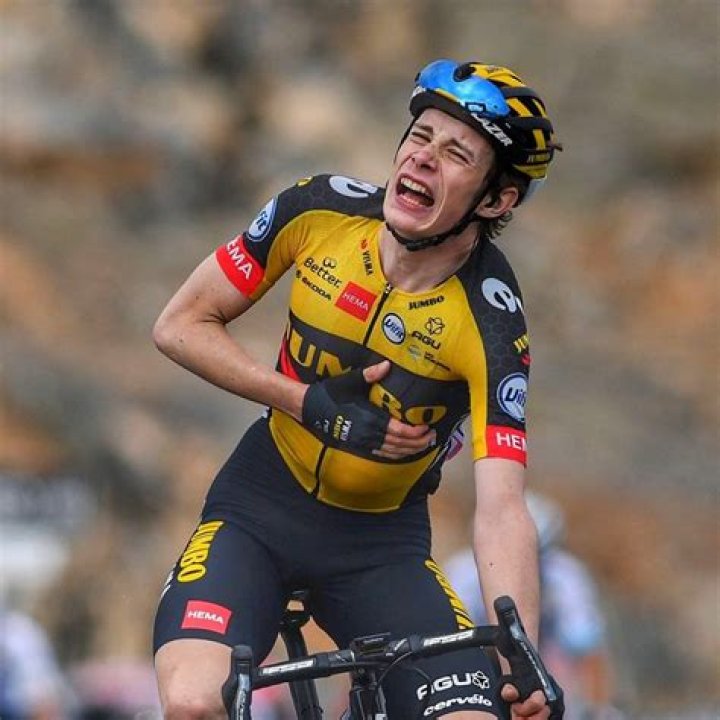 Jonas Vingegaard: Height And Weight Details