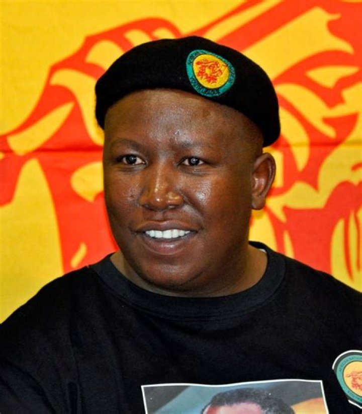 The Definitive Guide To Julius Malema's Age: Uncovering The Truth