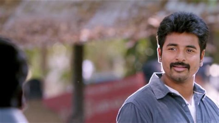 Essential Guide To Kaaki: A Comprehensive Overview