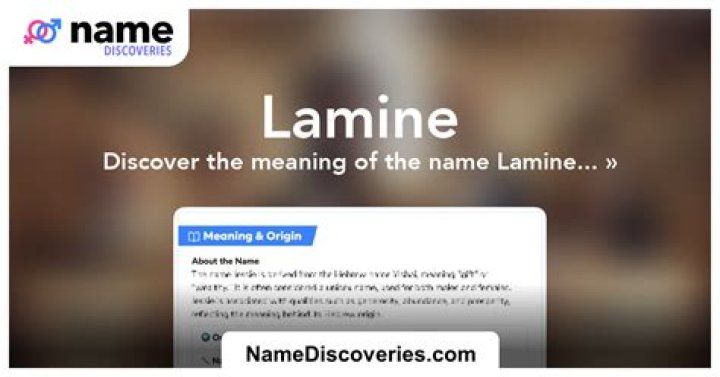 Discover Your Perfect Lamine Flooring: Find The Best Laminate Name Today
