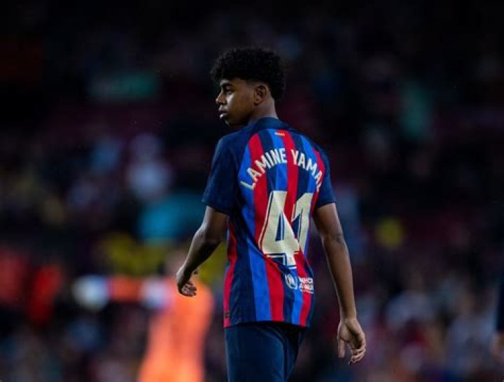 Professional Laminate Flooring Services By Lamine Yamal Mothes