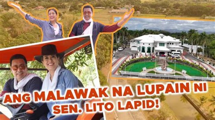The Ultimate Guide To Lito Lapid's Height And Other Facts