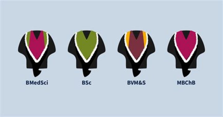 The Ultimate Guide To Understanding The Mean Of BSC